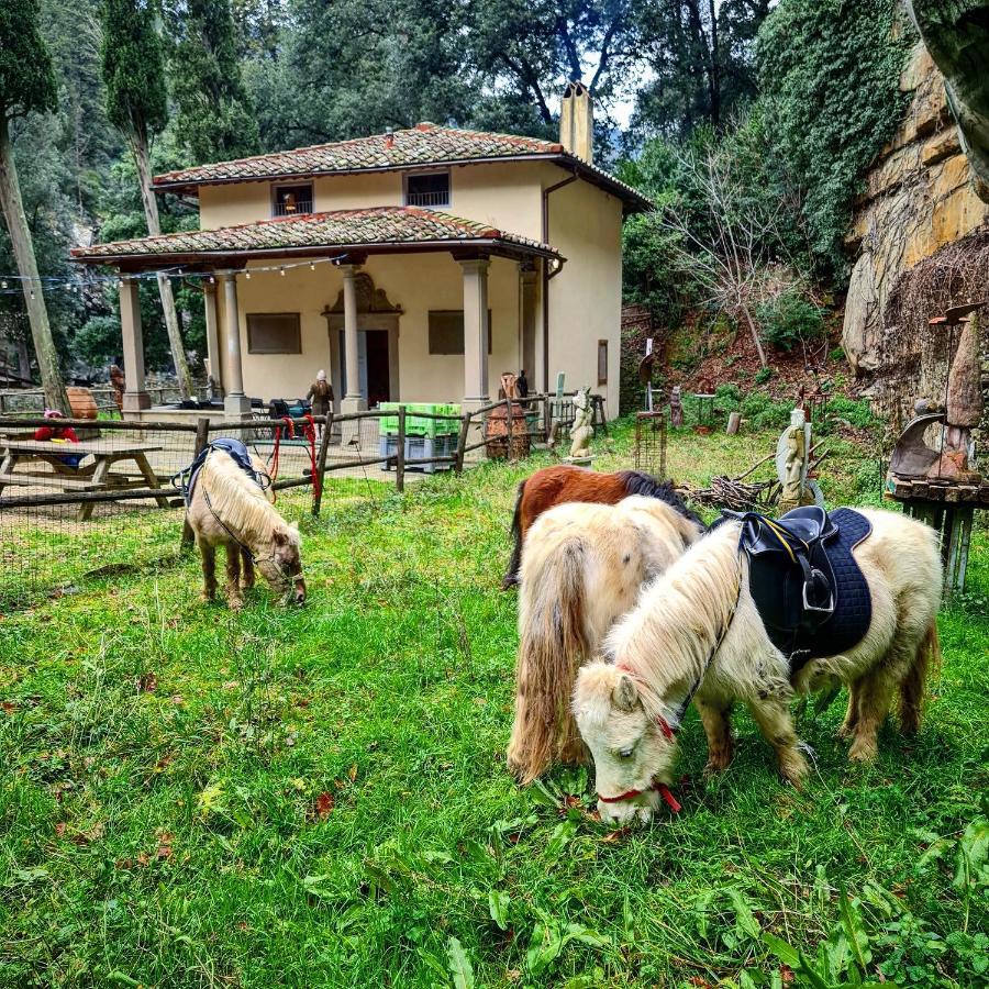 Agriturismo Fattoria Di Maiano Fiesole Ngoại thất bức ảnh