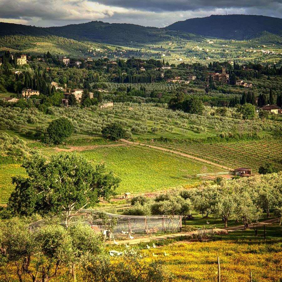 Agriturismo Fattoria Di Maiano Fiesole Ngoại thất bức ảnh