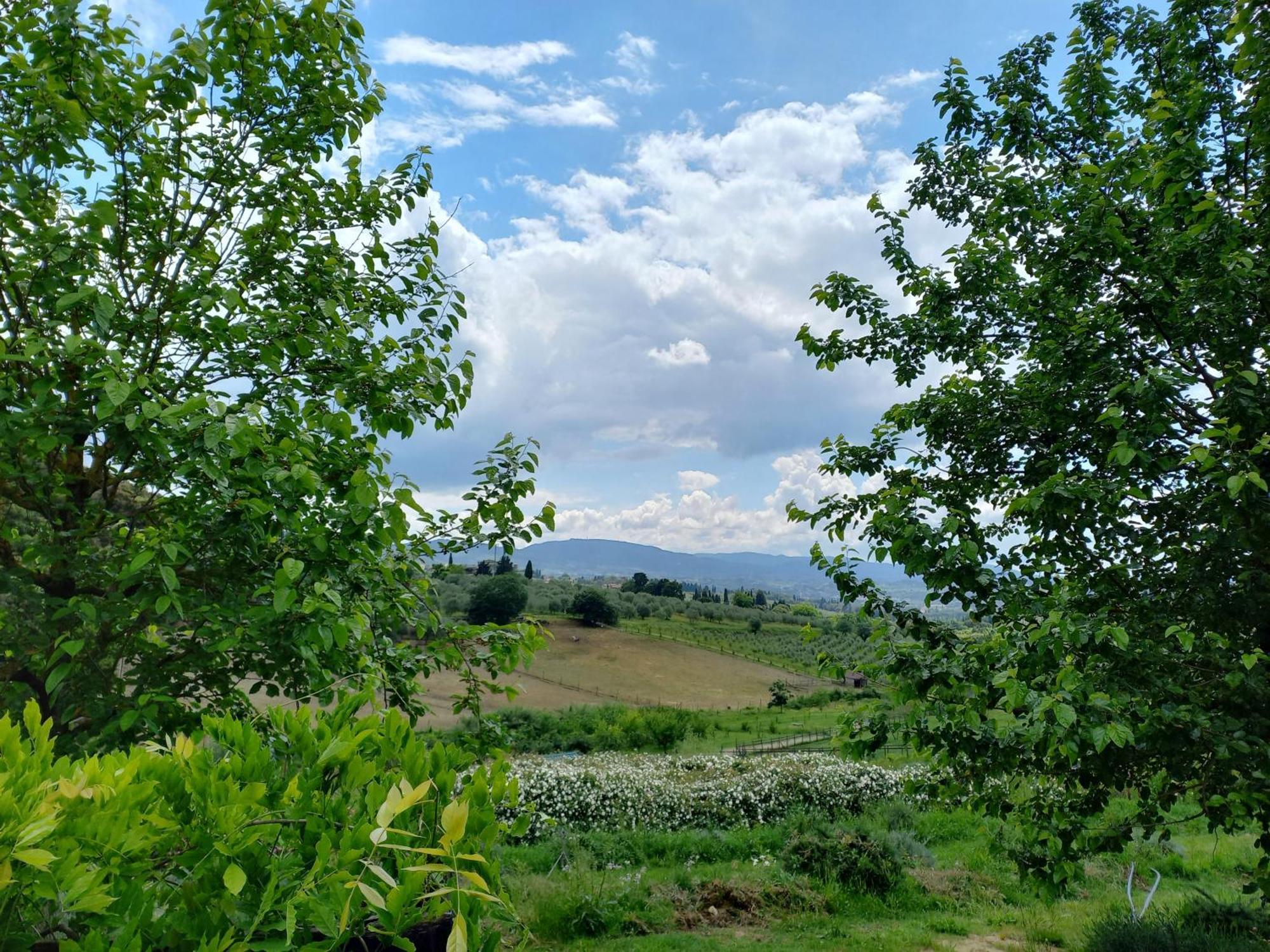 Agriturismo Fattoria Di Maiano Fiesole Ngoại thất bức ảnh
