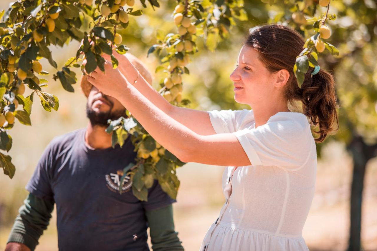 Agriturismo Fattoria Di Maiano Fiesole Ngoại thất bức ảnh